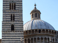 Siena Duomo Katedra